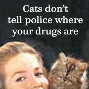 Meet your Posher, Bonnie